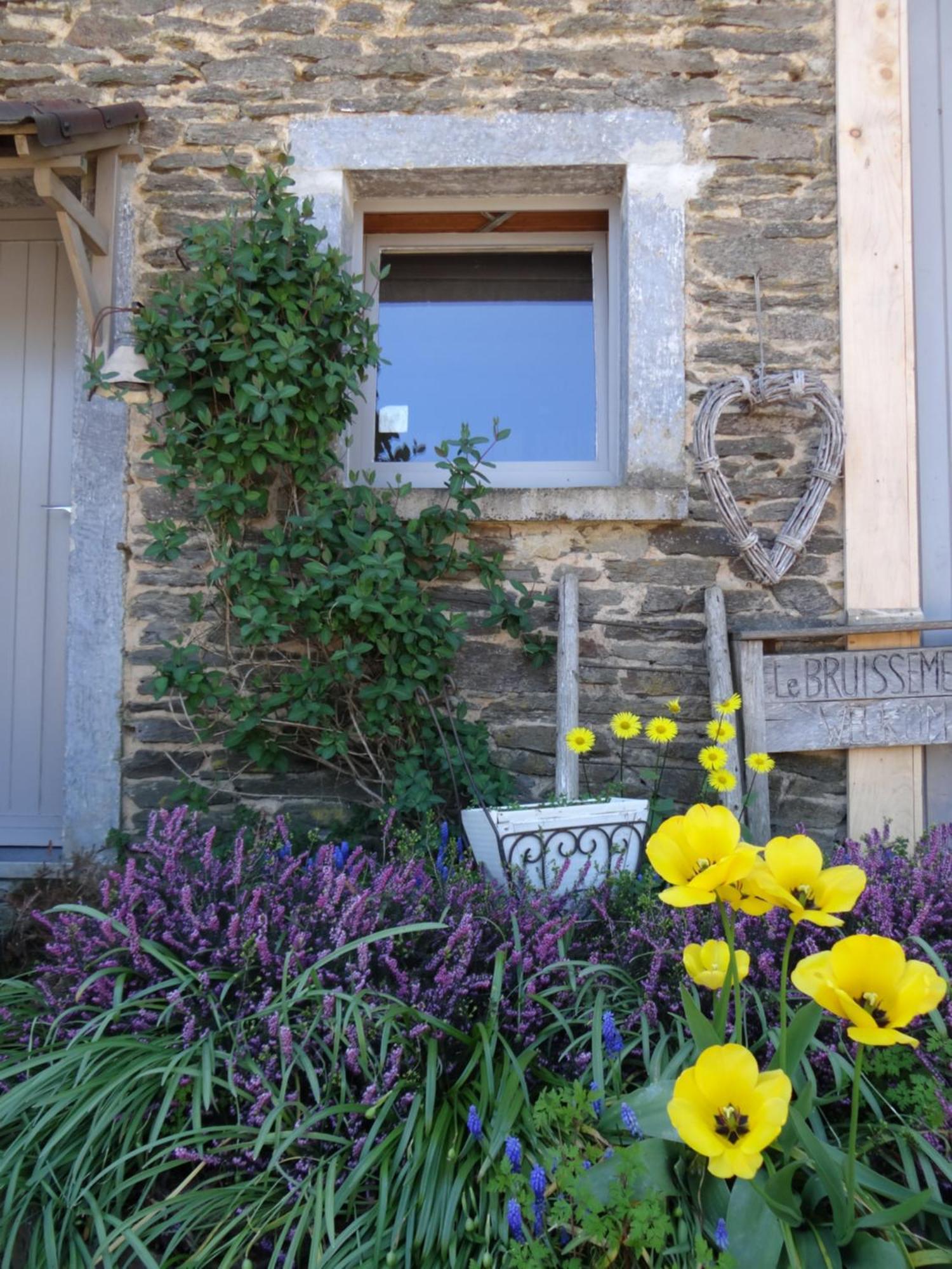 ביבר B&B Le Bruissement מראה חיצוני תמונה